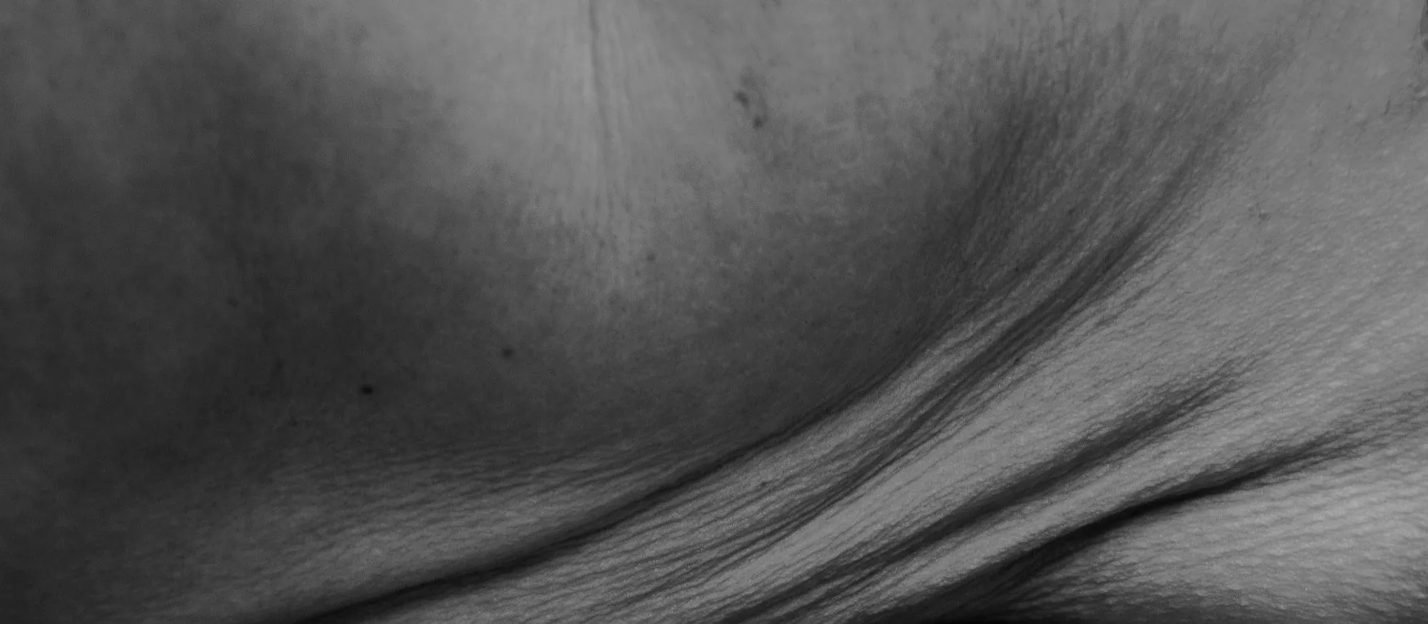 The curve where shoulder meets collarbone, fine parallel lines gathering in the hollow