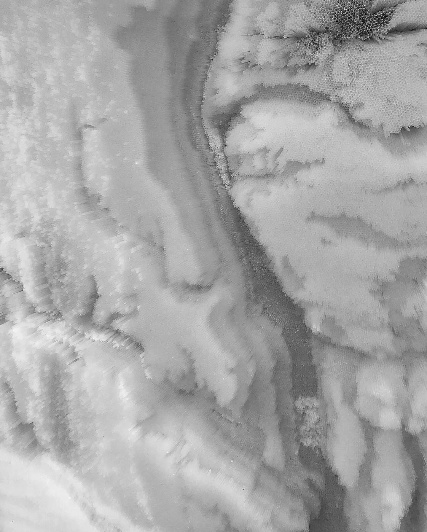 Detail of the straw surface, the cut ends forming the ridges and channels of the bay