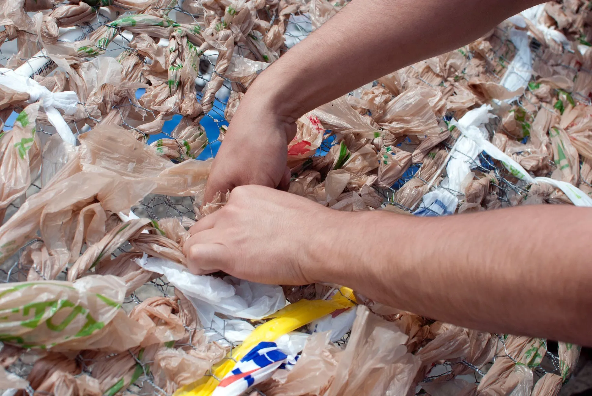 Two hands knotting a plastic bag into the chicken wire