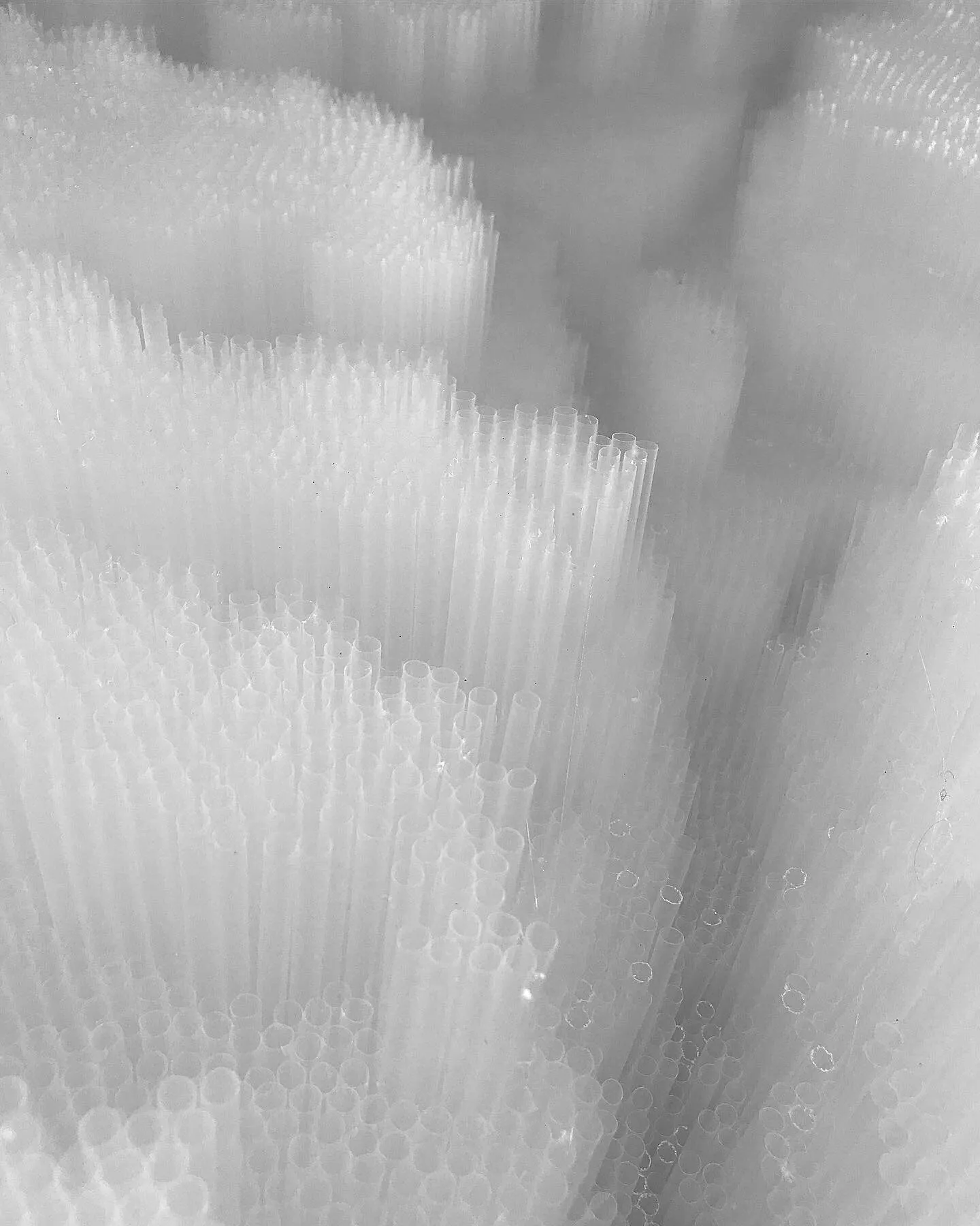Close view of clustered straw ends stepping across the surface in low relief
