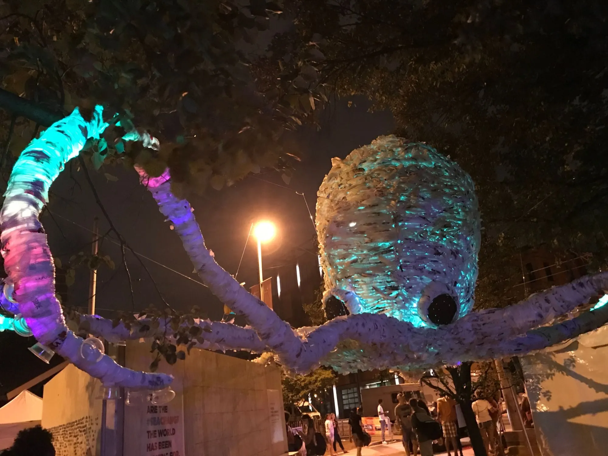 The arms and head lit teal and violet at night, seen from underneath