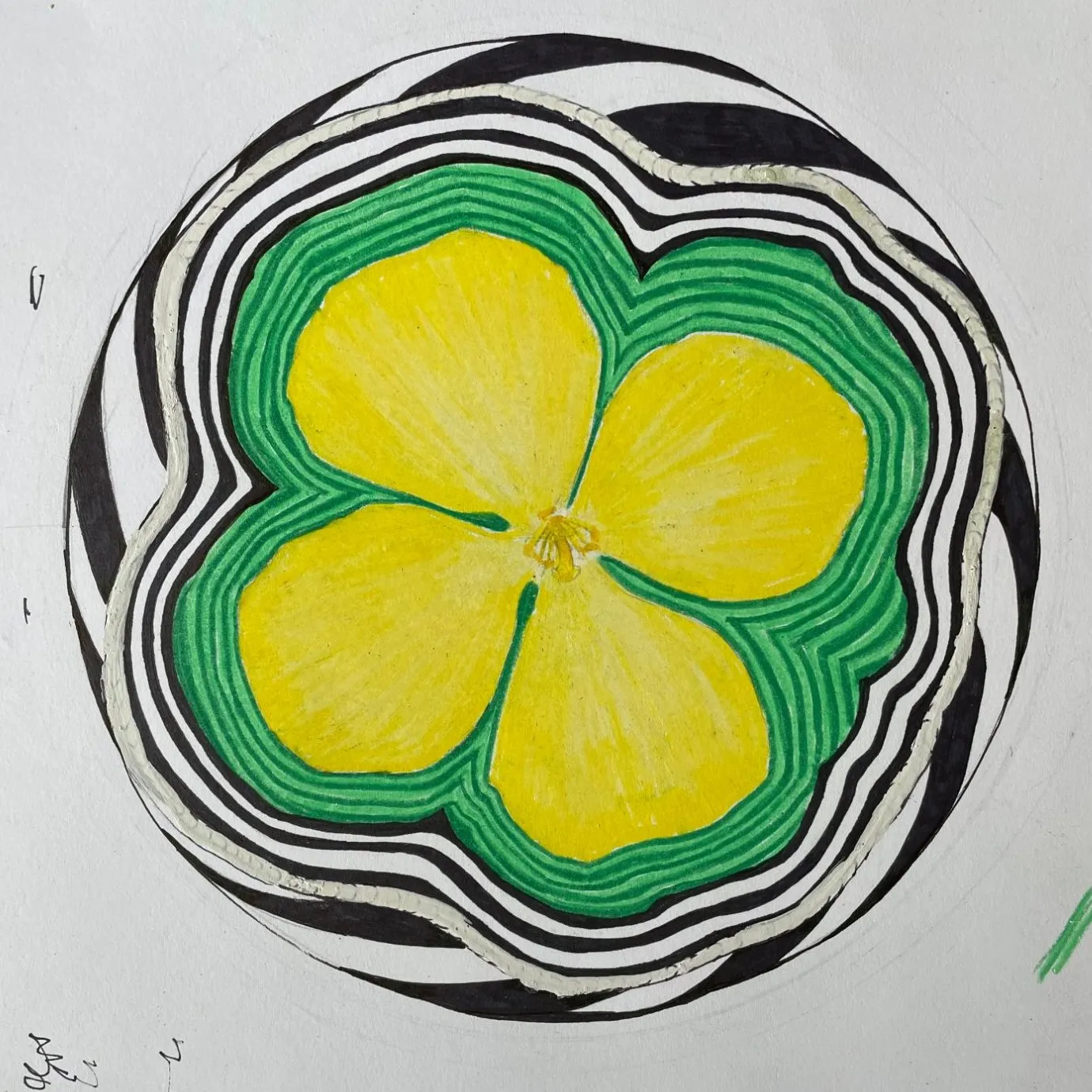 Hand-drawn concept design of a yellow four-petaled celandine poppy inside a green border and a black-and-white striped circle