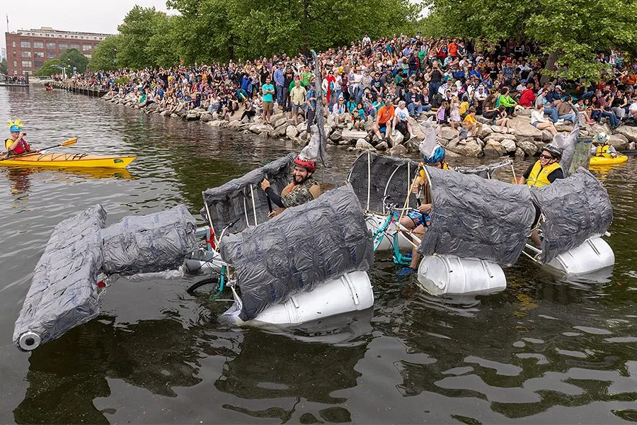 The shark afloat in the harbour, a crowd watching from the rocks