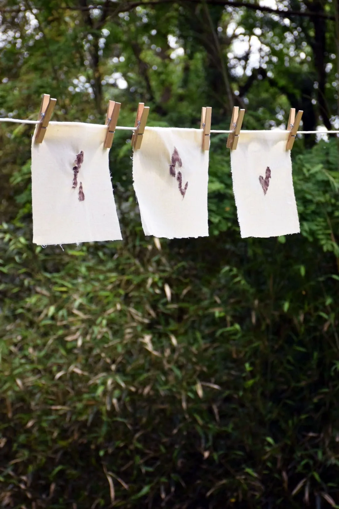 Three squares of pale cloth pegged to a line outdoors, each marked with a rust-colored stain