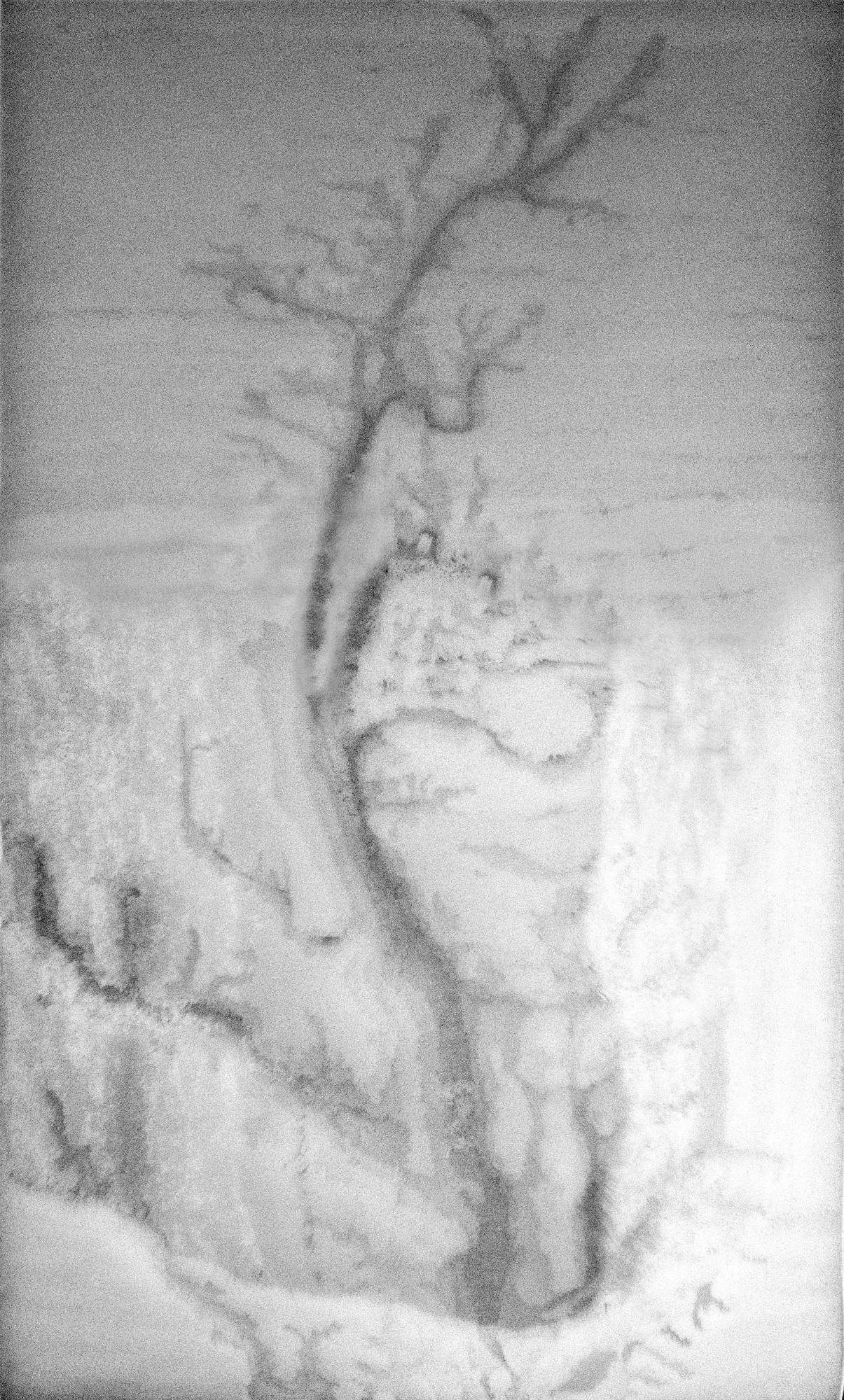 The whole relief in black and white, the Chesapeake Bay and its rivers branching across the straw surface