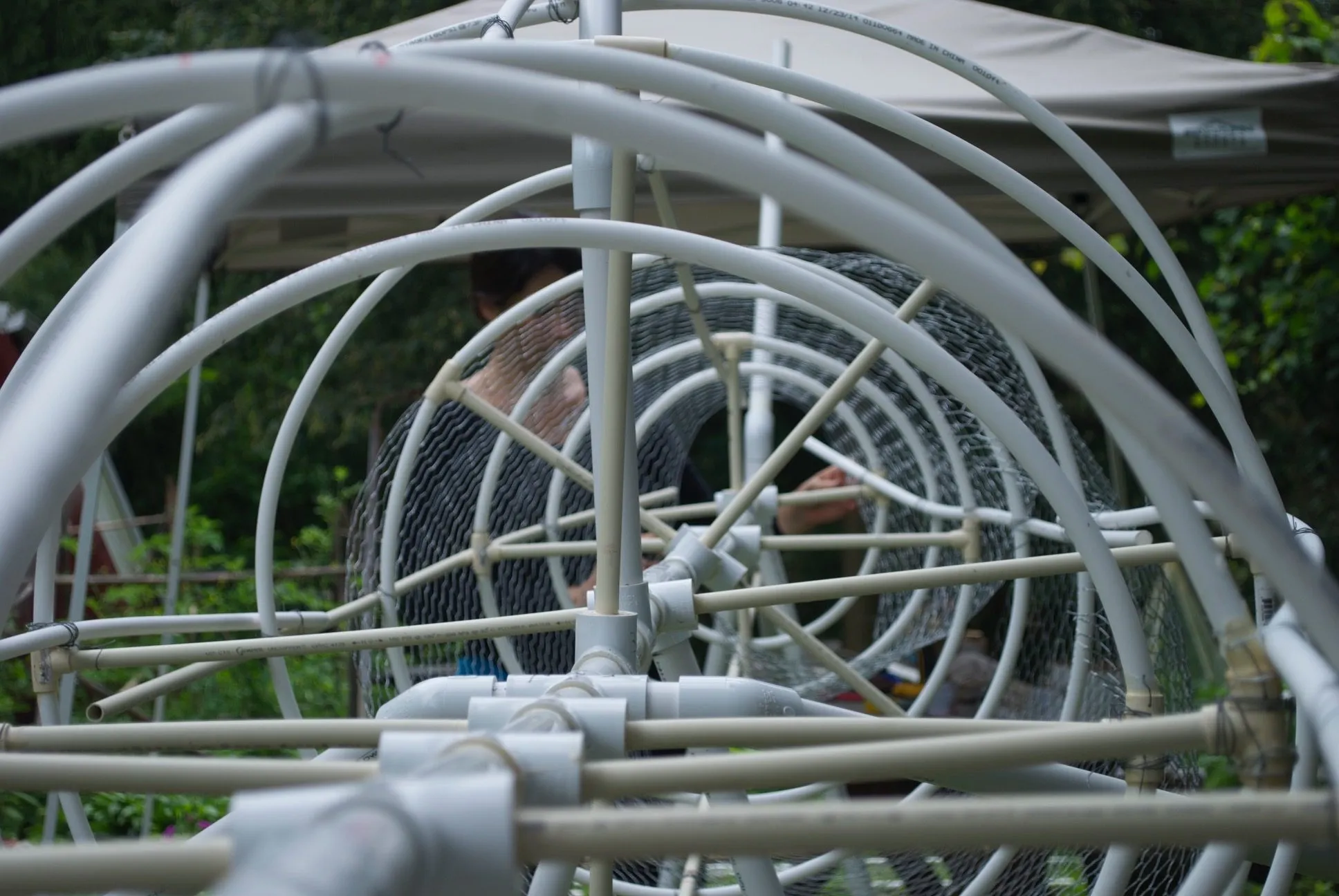 The bare pipe frame under a work tent, rolls of chicken wire waiting behind it