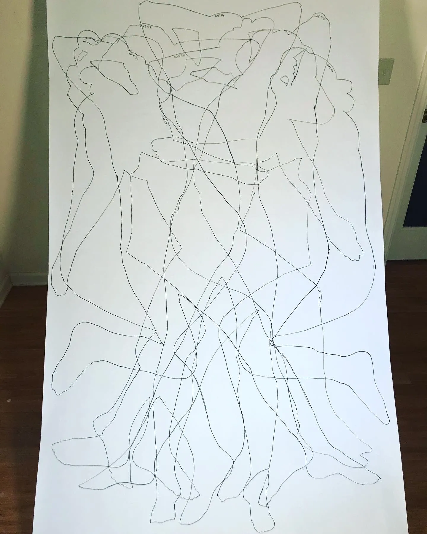 A sheet of overlapping contour drawings, each outline labeled with its day, from Day 50 through Day 56
