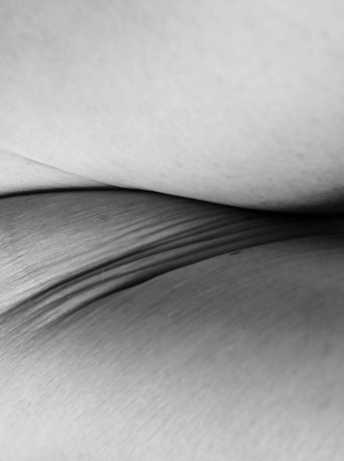A soft crease where thigh meets hip, lit from above