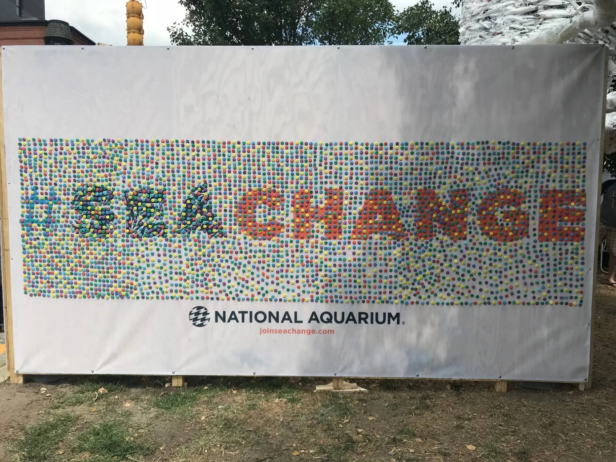 The pledge wall, a white banner covered in thousands of small coloured buttons that spell out the words SEA CHANGE, with the National Aquarium logo beneath