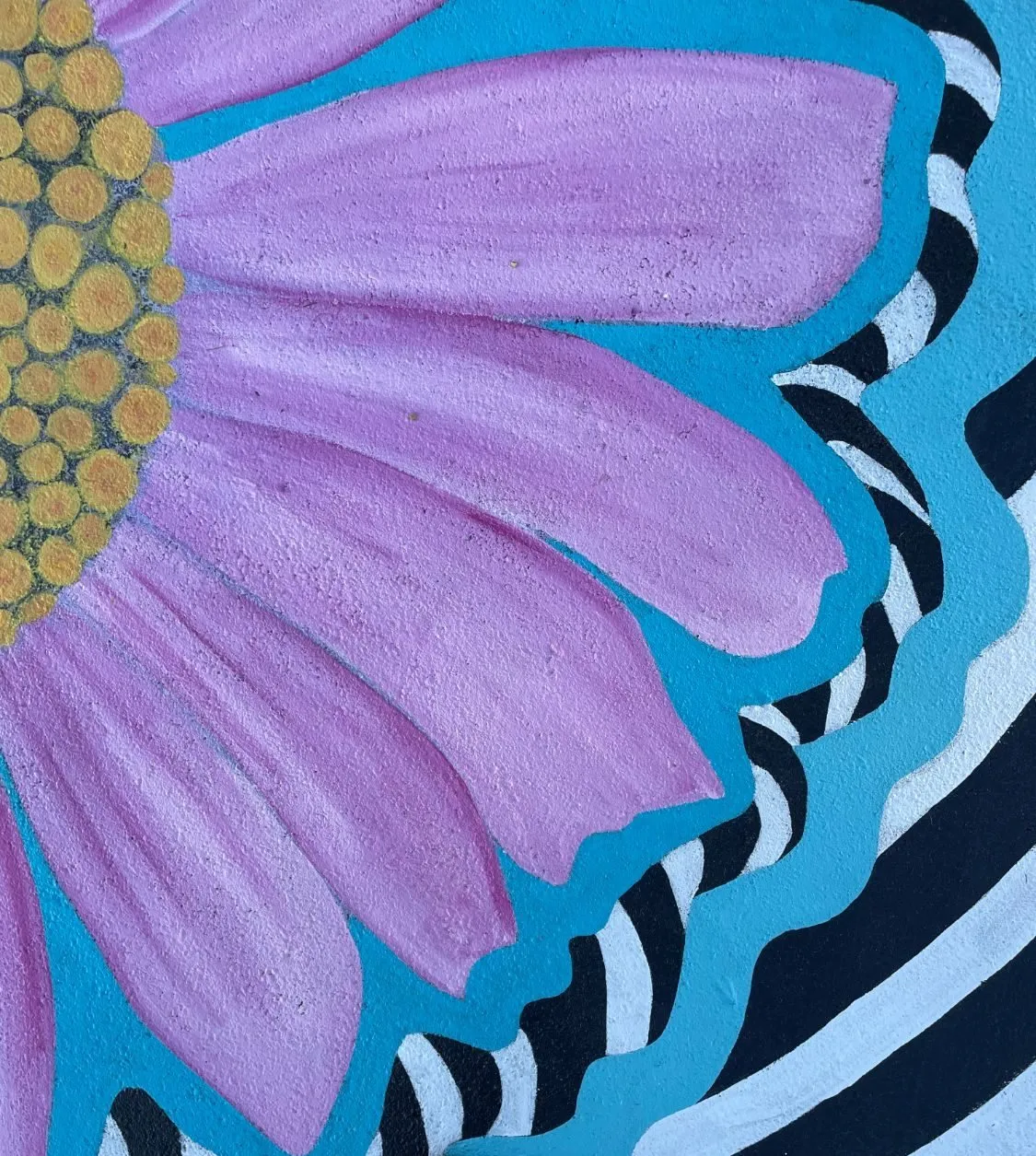 Close overhead view of the finished coneflower, its pink petals and yellow center against the blue and black-and-white striped rings