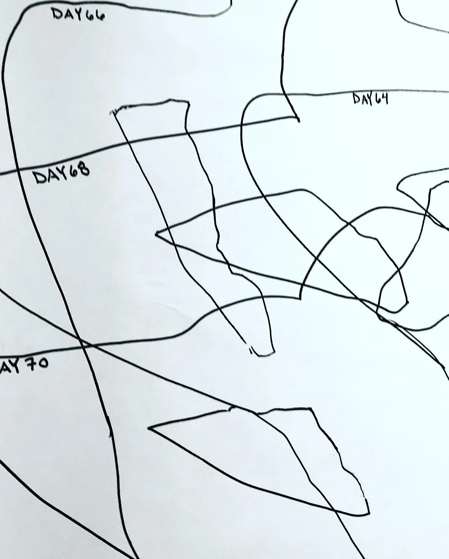 Detail of the crossing lines, the days marked in small handwriting along them