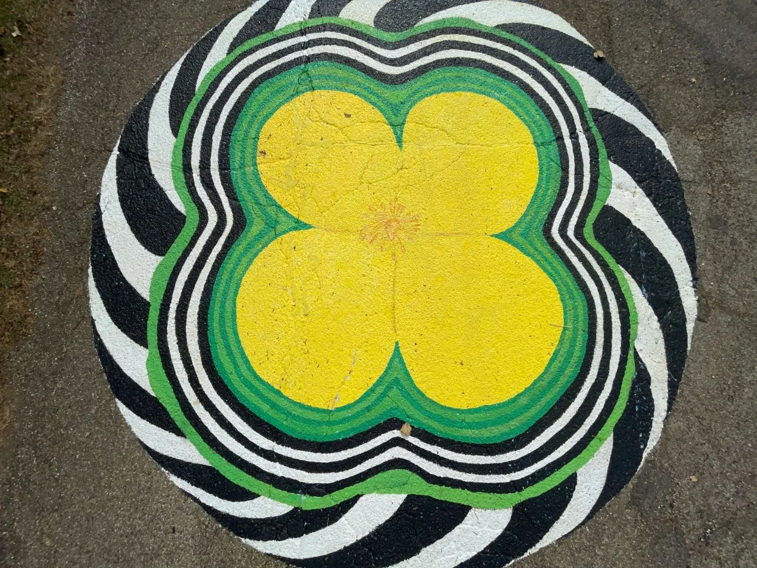 Overhead view of the finished celandine poppy, four yellow petals inside green rings and black-and-white rippling stripes on the asphalt
