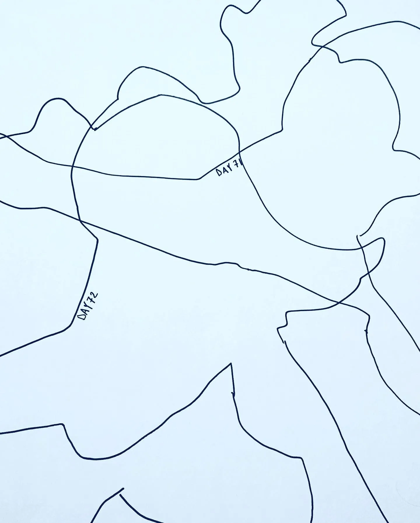 Closer still, two labeled lines running through a pale field of overlapping shapes