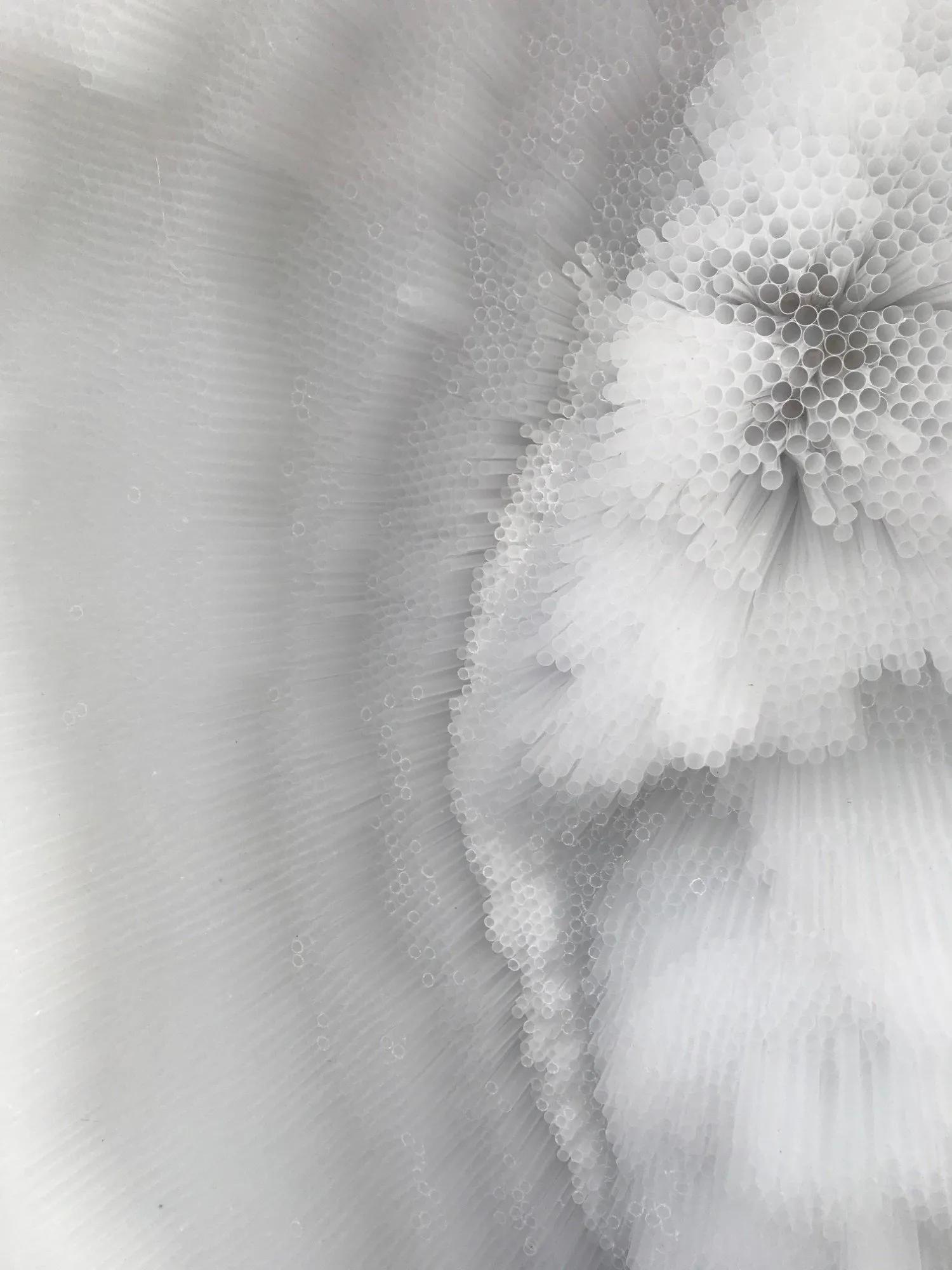 Straw ends fanning out from a tight circular burst, the tubes packed close as honeycomb