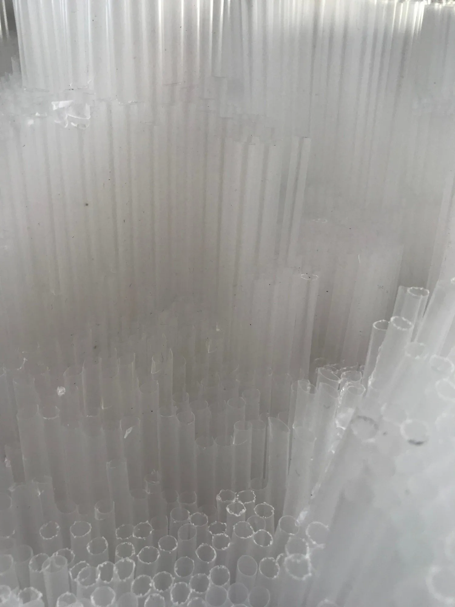 The straws seen side on, their cut ends catching the light along the lower edge