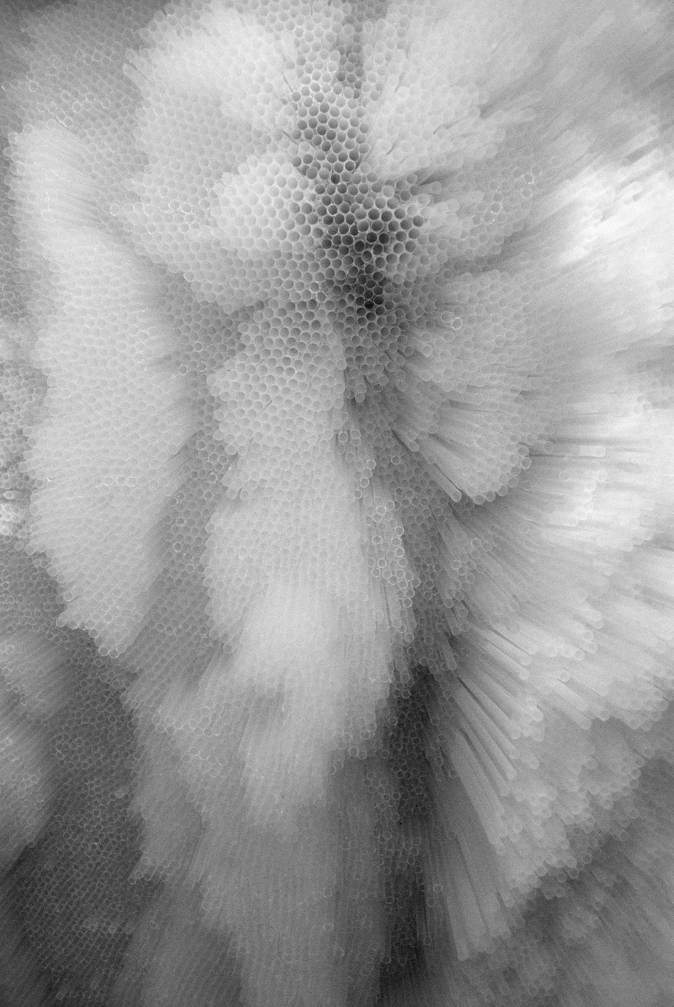 A Ripple Effect, 2019
