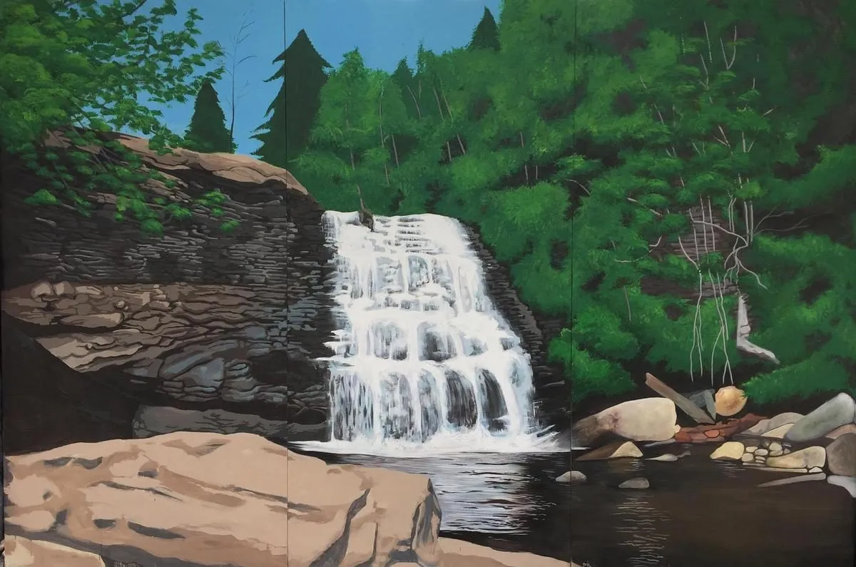 Swallow Falls, 2017