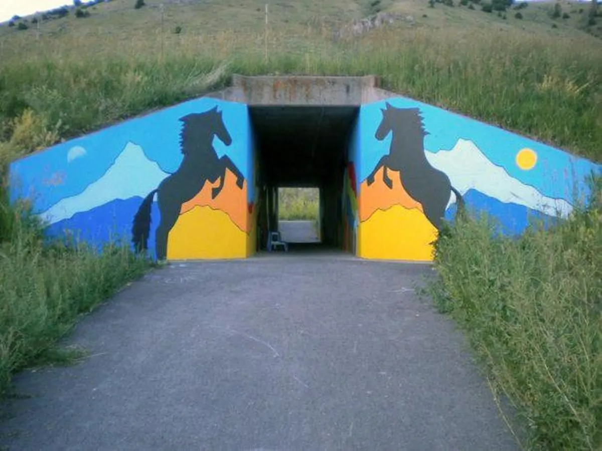 Wild Wyoming, 2009