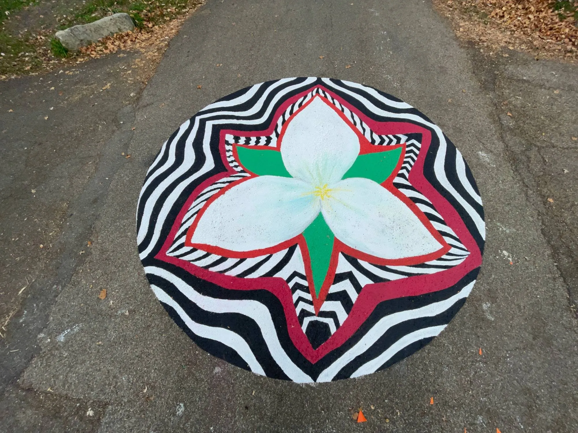 Ohio Native Flowers, 2024