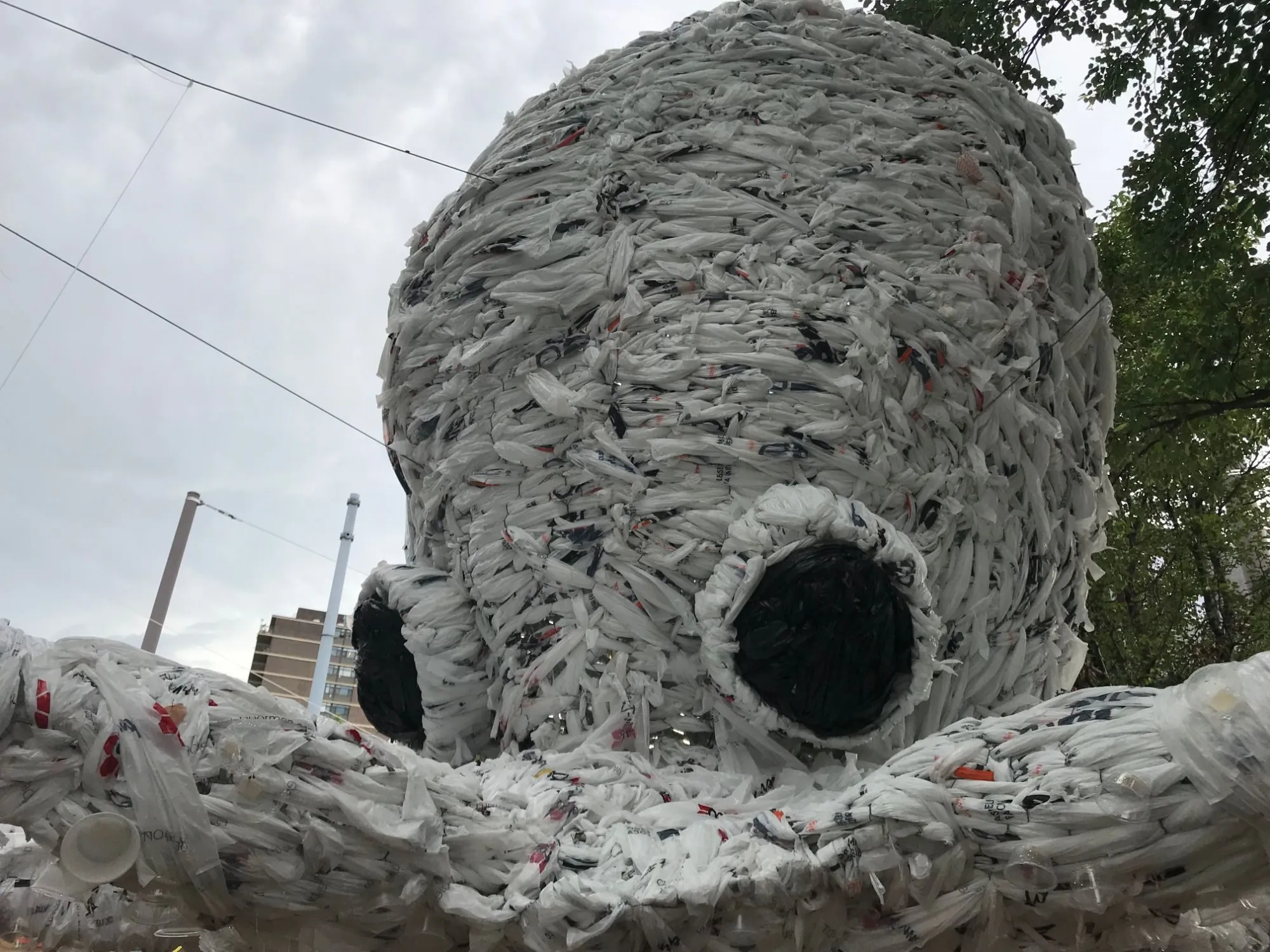 Octopus, 2018