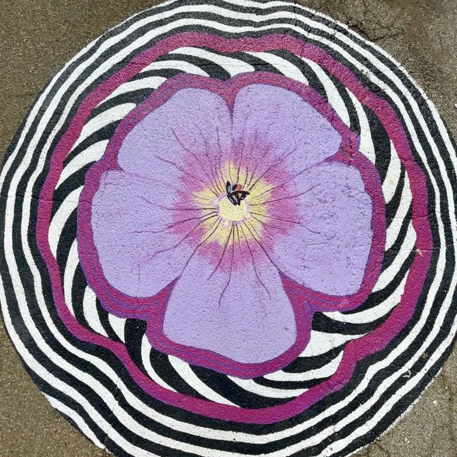 Ohio Native Flowers, 2024